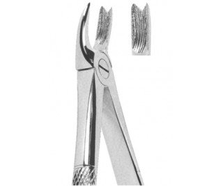 Extracting Forceps English pattern